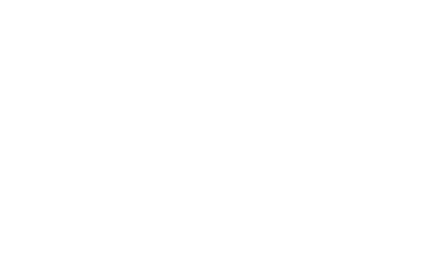 Custom 車両カスタマイズ